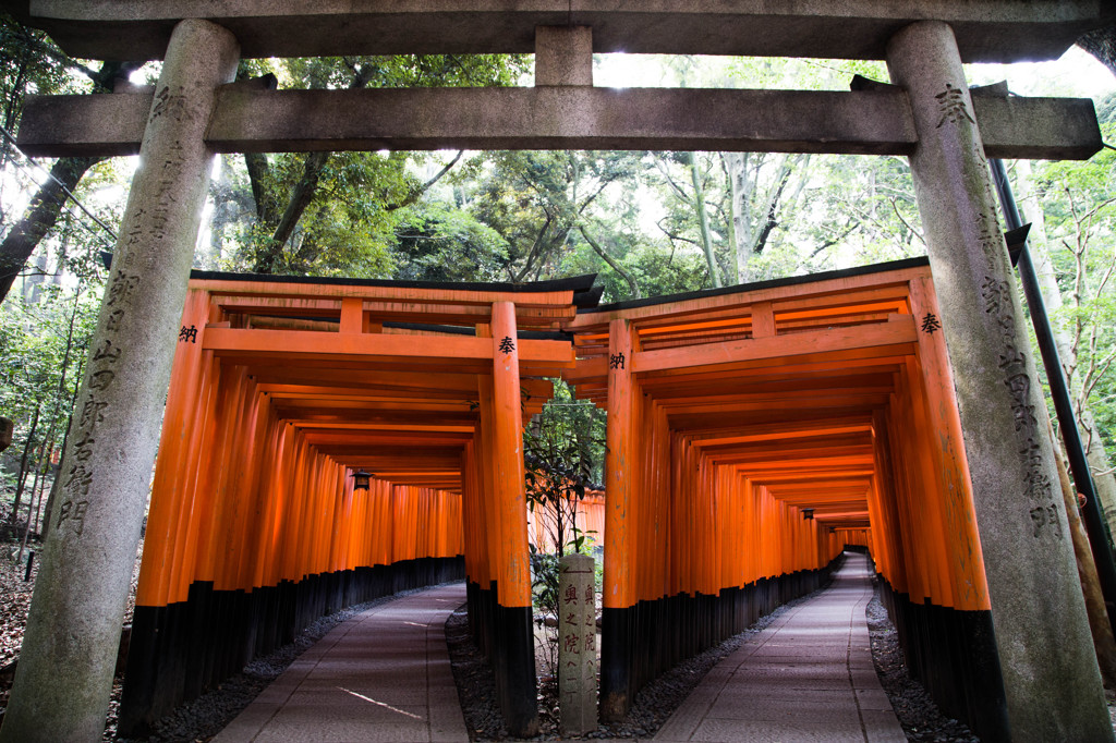 千本鳥居の朝　Ⅳ