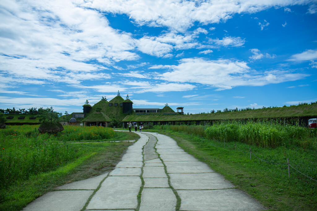 ラ コリーナの夏　Ⅲ