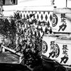 『猛虎の力』　－丹山酒造