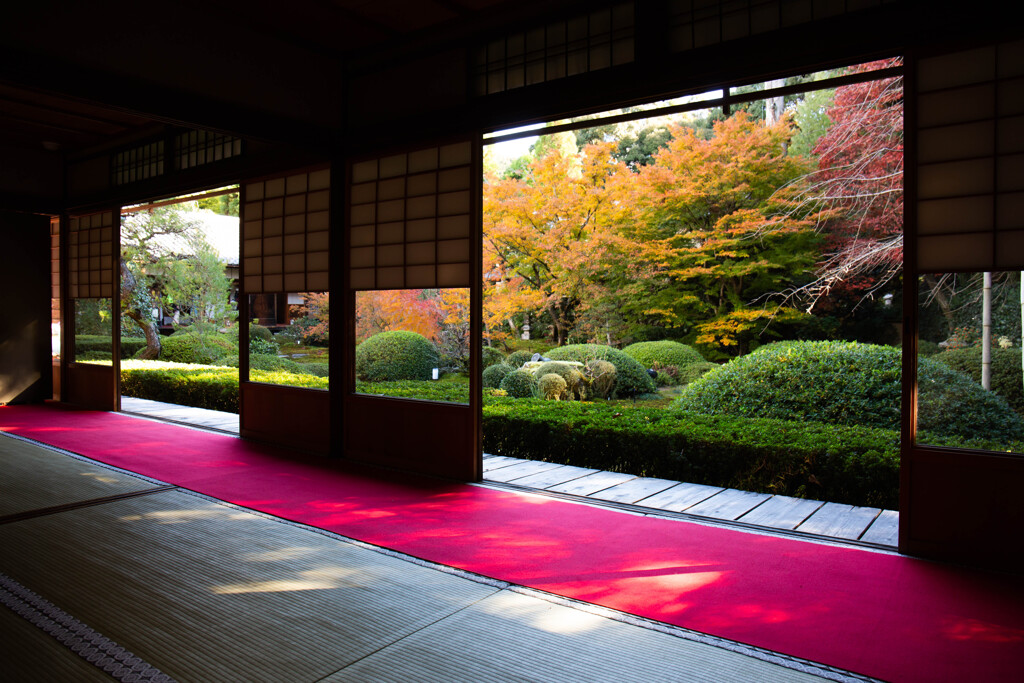 雲龍院大輪の間から愛でる紅葉　Ⅰ