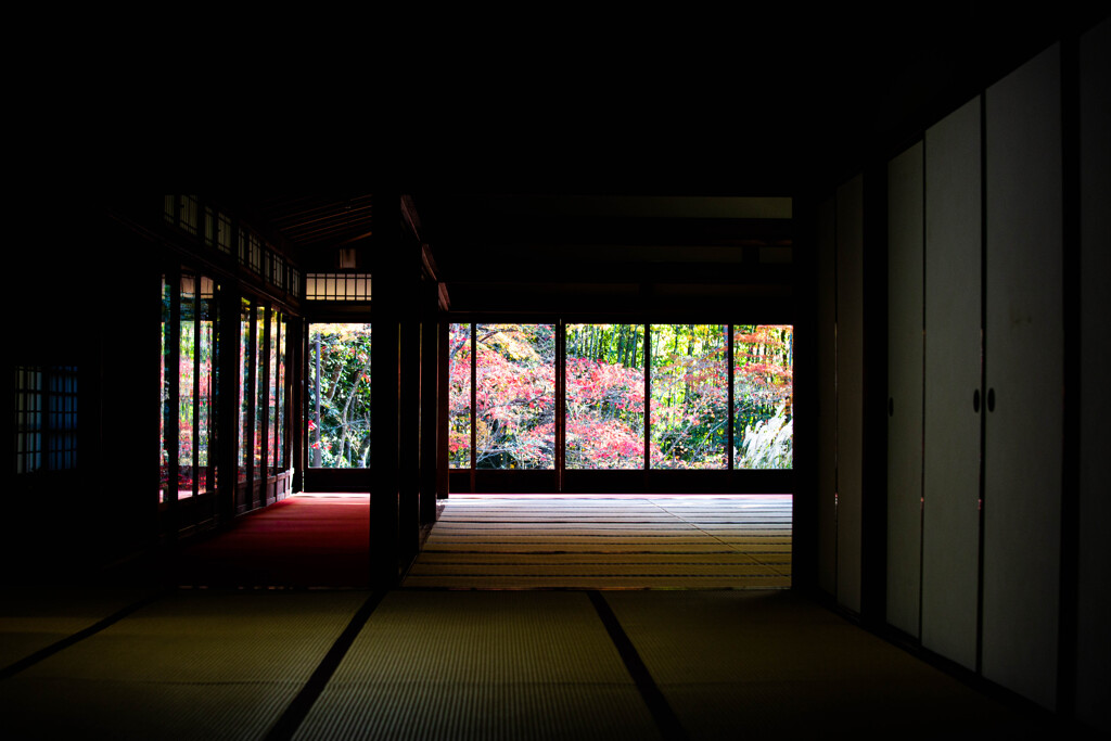 晩秋の天授庵書院で