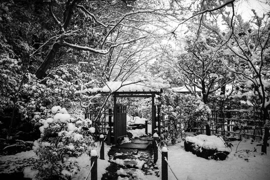 ようこそ。雪の天授庵へ。