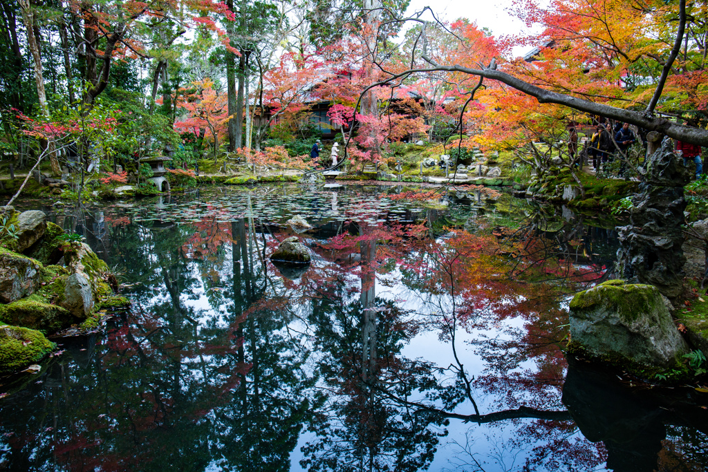 天授庵の南庭・秋