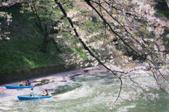桜色の濠で。　Ⅰ