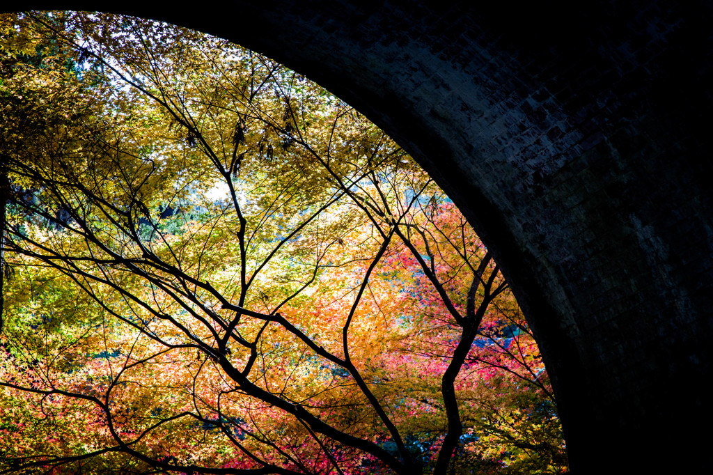 水路閣から見る紅葉　Ⅰ