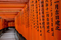 千本鳥居の朝　Ⅶ