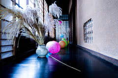 雲龍院 廊下の秋アート 雲龍院 廊下の秋アート