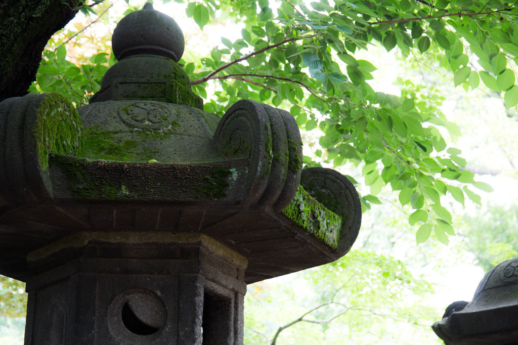 上野東照宮の石灯籠