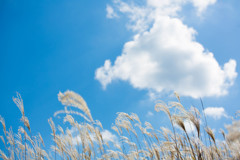 秋の空