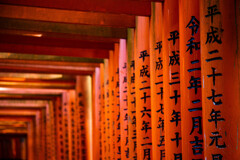 千本鳥居で　Ⅹ