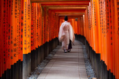 朝の千本鳥居にて