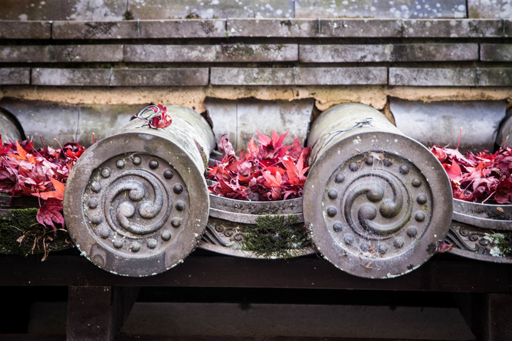 天授庵・2014秋　XⅢ