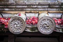 天授庵・2014秋　XⅢ