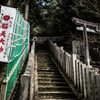 吉野の脳天さん　Ⅲ