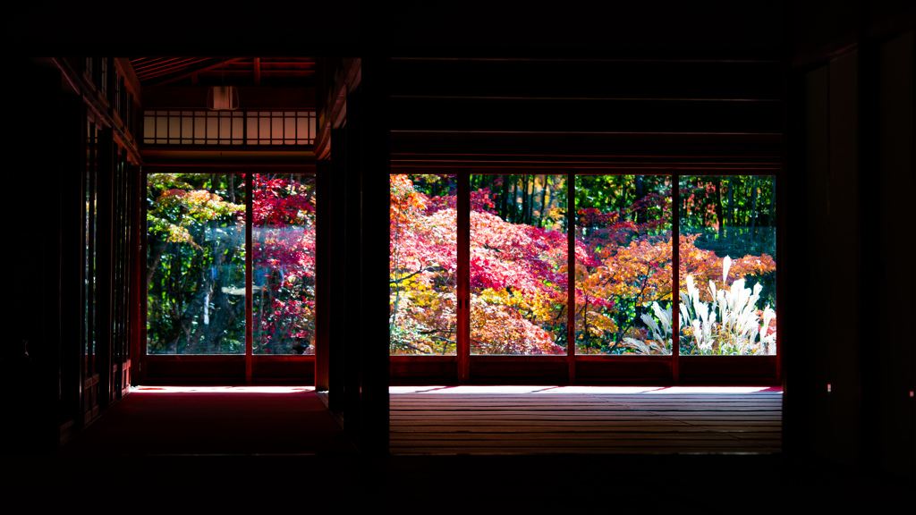 晩秋の天授庵で　Ⅸ