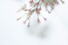 「またね～♪」