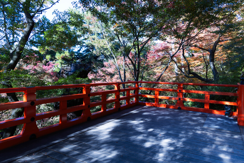 北野天満宮もみじ苑にて　Ⅲ