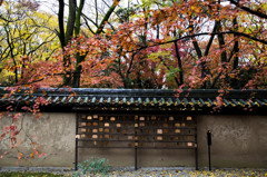 河合神社にて。　Ⅱ