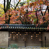 河合神社にて。　Ⅱ
