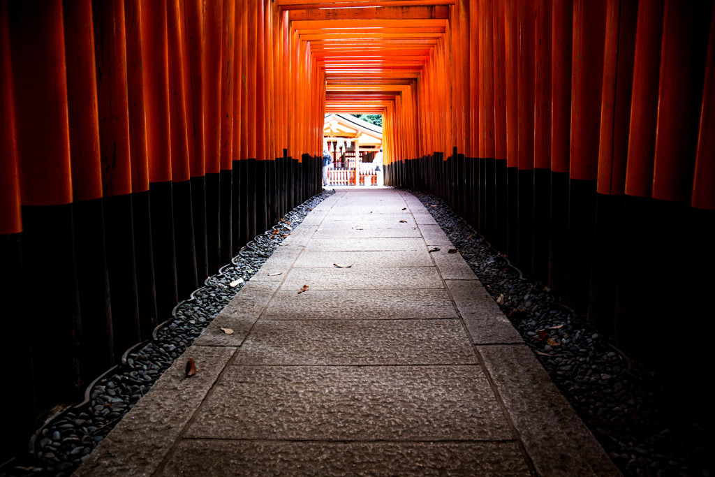 鳥居のトンネルを抜けて