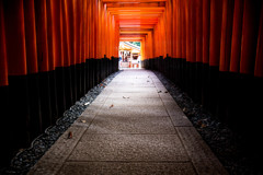 鳥居のトンネルを抜けて