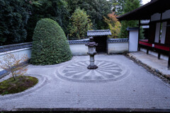 雲龍院の菊の御紋　Ⅰ