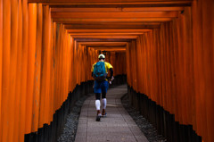 千本鳥居の朝　Ⅱ