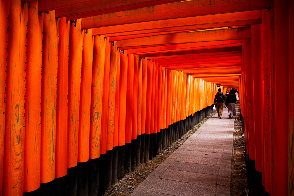 千本鳥居で　Ⅶ