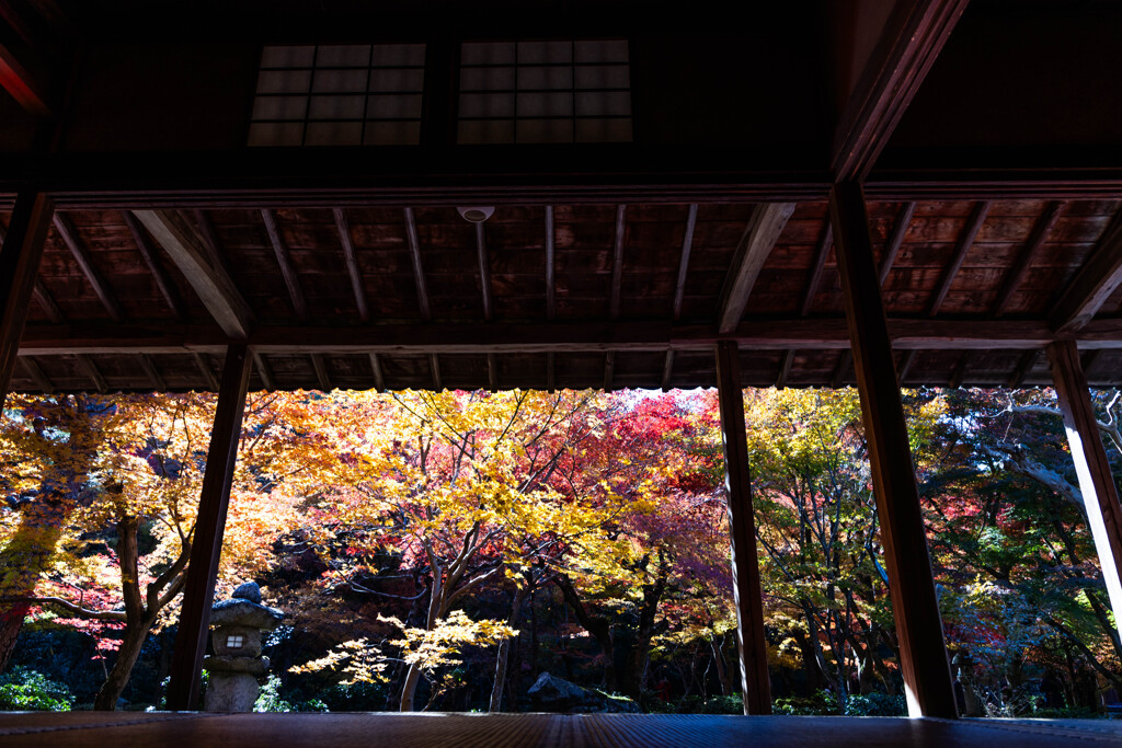 圓光寺 晩秋の色