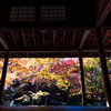 圓光寺 晩秋の色