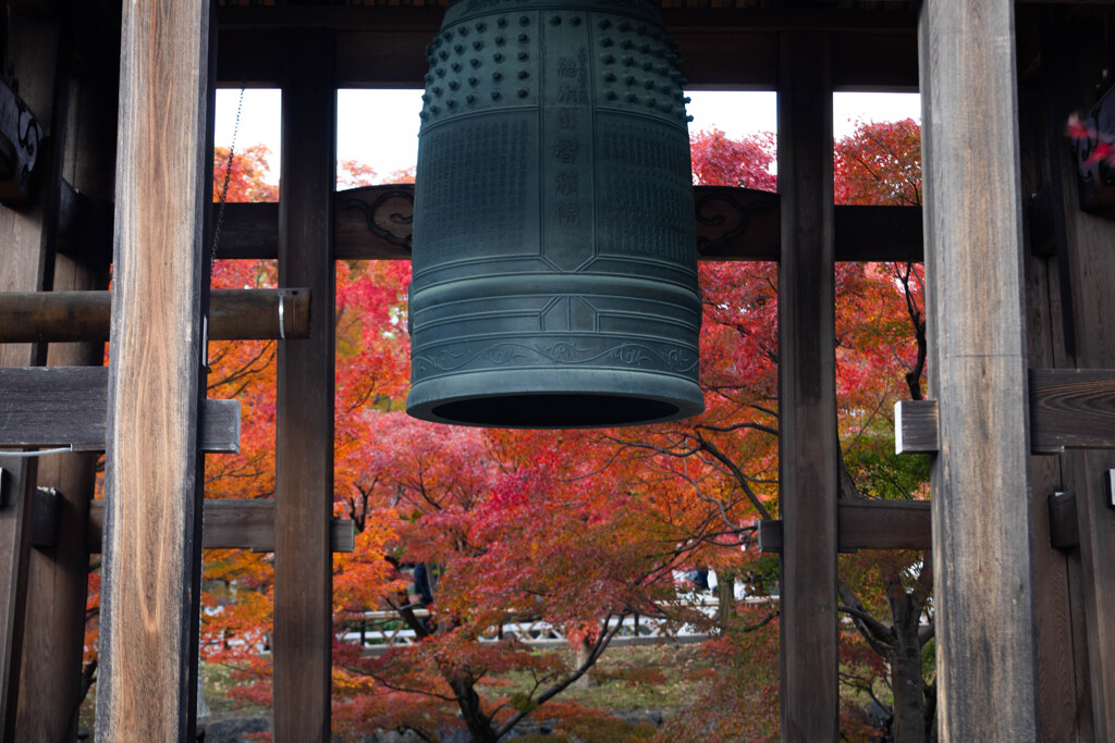 智積院の紅葉　Ⅱ