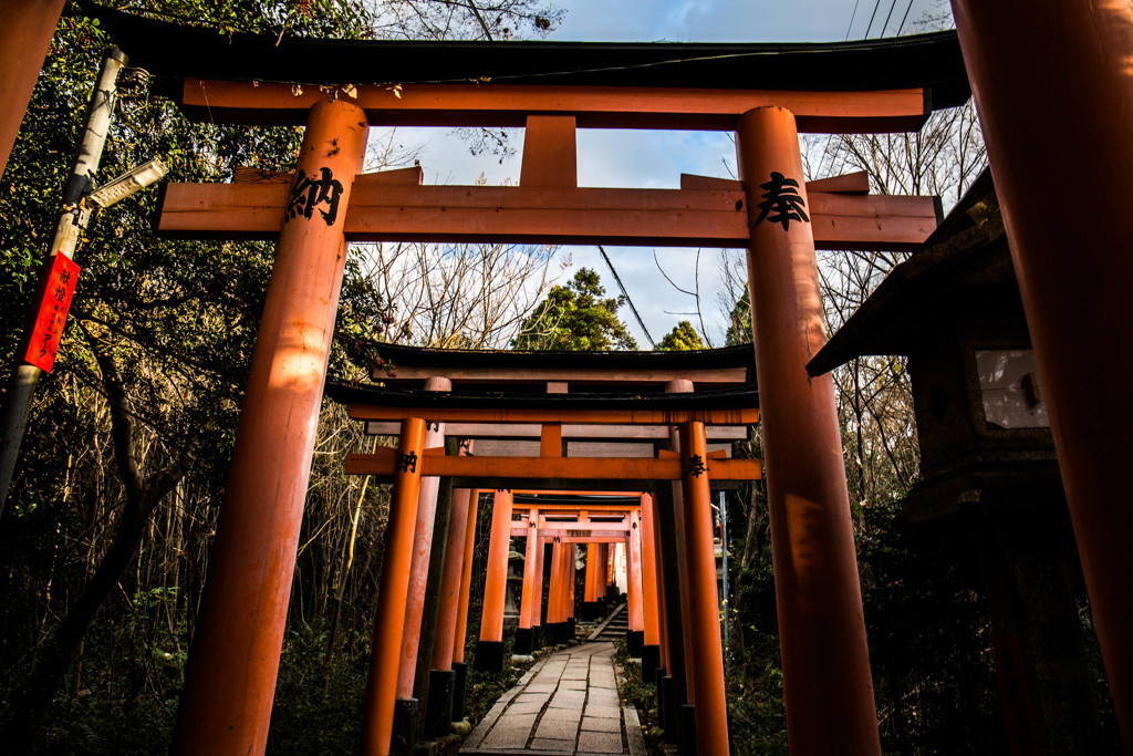 山頂近くの鳥居。