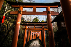 山頂近くの鳥居。
