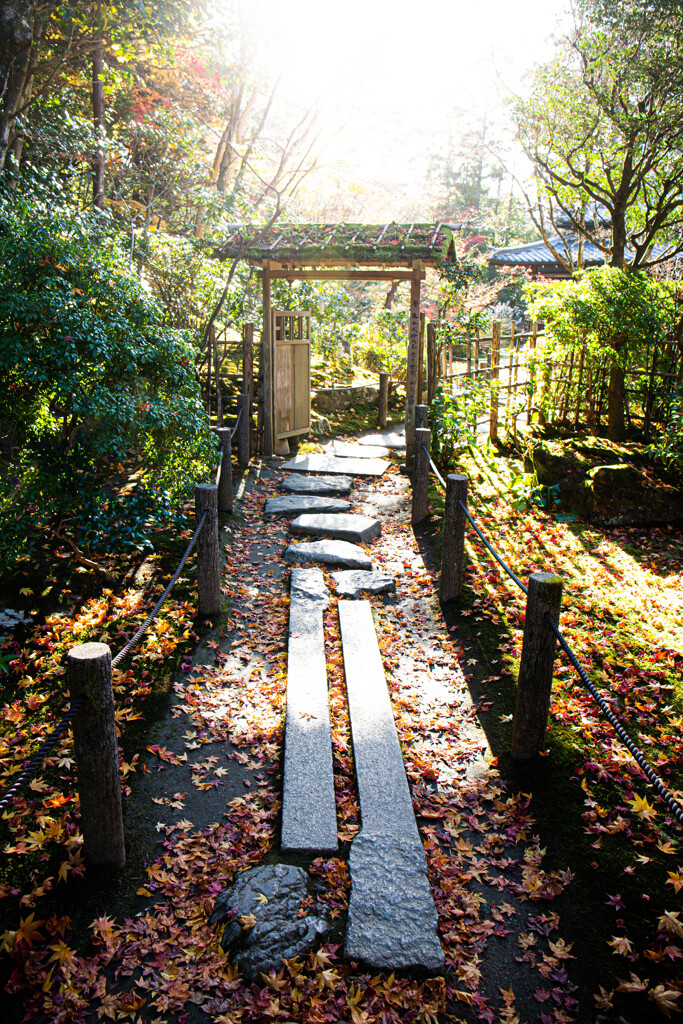 晩秋の天授庵で　Ⅱ