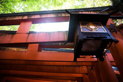 迷宮へようこそ。　Ⅳ