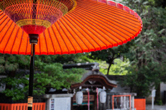 下鴨神社にて。　Ⅲ