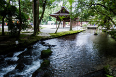 上賀茂神社にて　Ⅰ