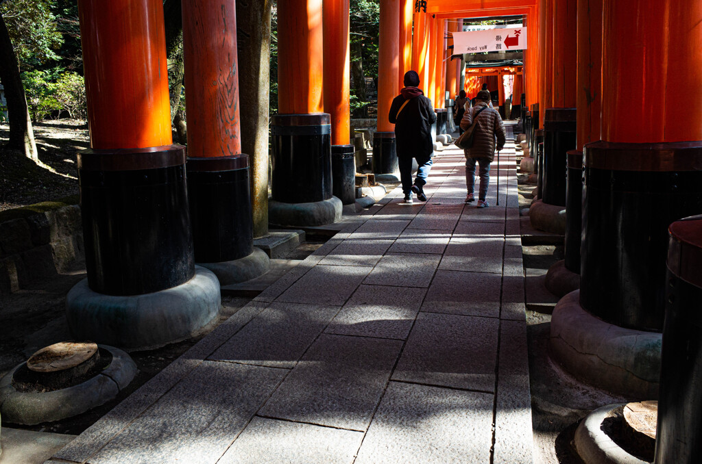 千本鳥居　Ⅶ