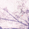 花咲かじいさんは一輪の花を咲かせましたとさ。