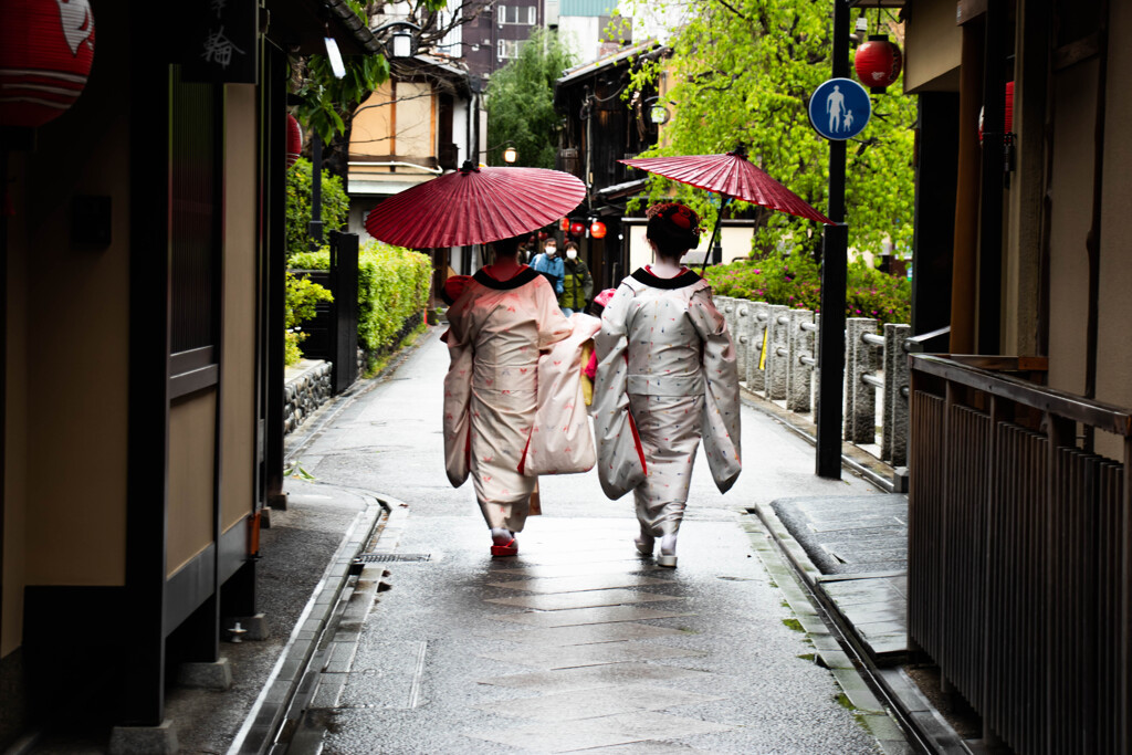 雨の先斗町　Ⅱ