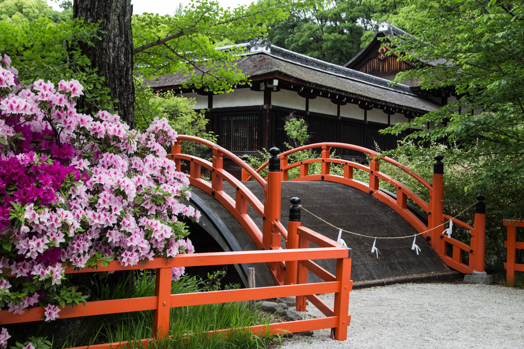 下鴨神社で。　Ⅱ
