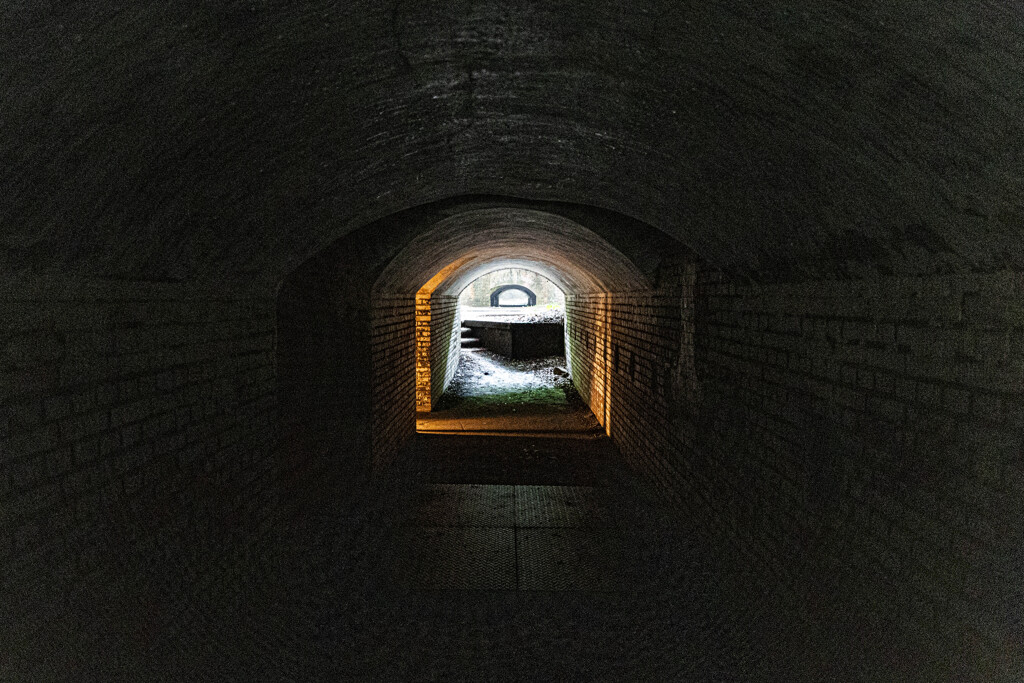 友ヶ島第三砲台跡にて　Ⅵ