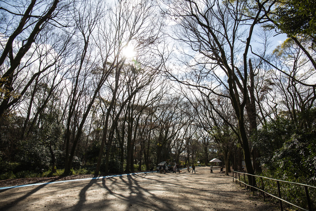 年末の糺の森で。