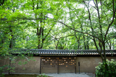 森の神社にて。