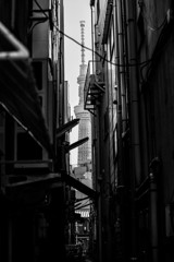 路地