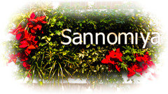 X'mas的なSannomiya
