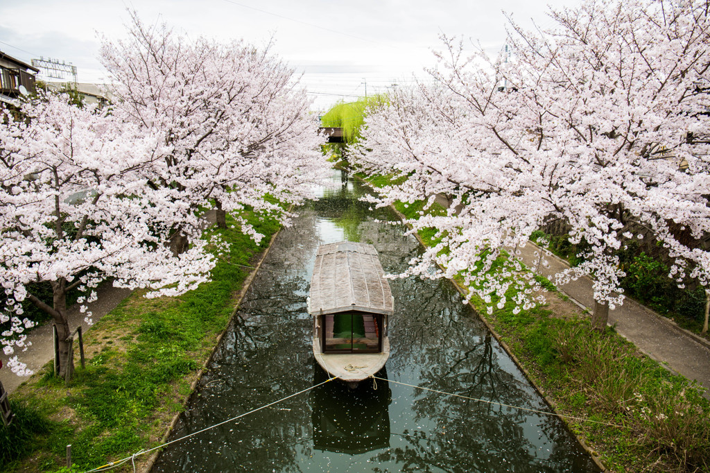 伏見の春景色　Ⅰ