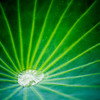 Jewel of Water