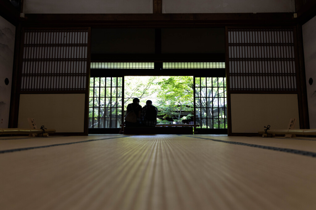 建仁寺潮音庭を愛でる　Ⅰ