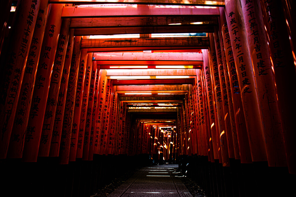 朝の千本鳥居